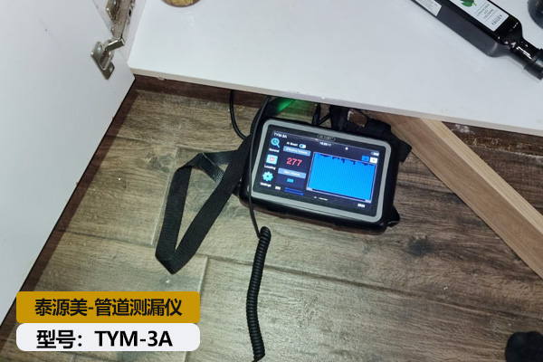 保加利亚成功案例：泰源美3A管道测漏仪精准定位